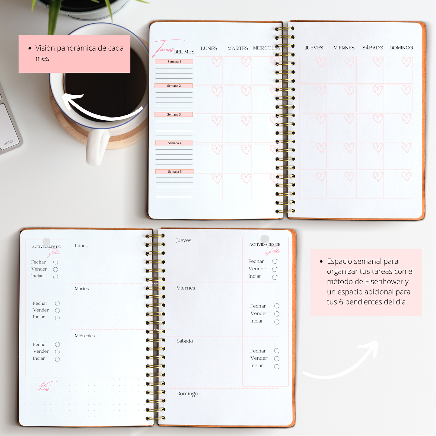 Agenda Marykay